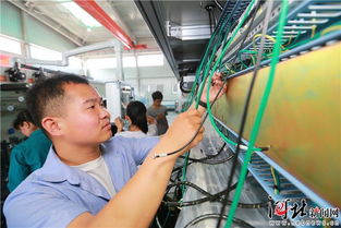 廊坊纽特科技 精耕模切领域，综合布线产品远销海外